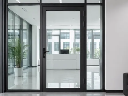 Full glass commercial door — tempered glass panel in steel perimeter frame