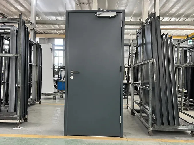 EUWOO commercial fire rated door — steel construction with powder coat finish
